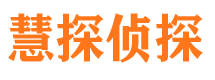 靖西市侦探